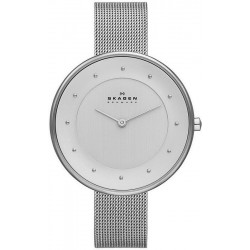 Skagen skw2141 discount